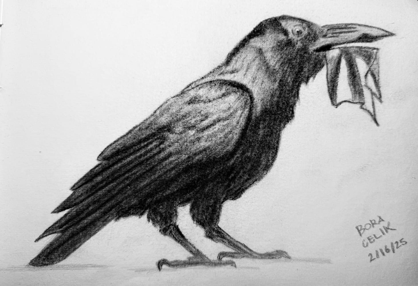 crow